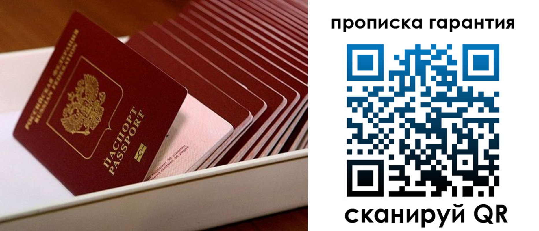 прописка поиск в Пикалёво